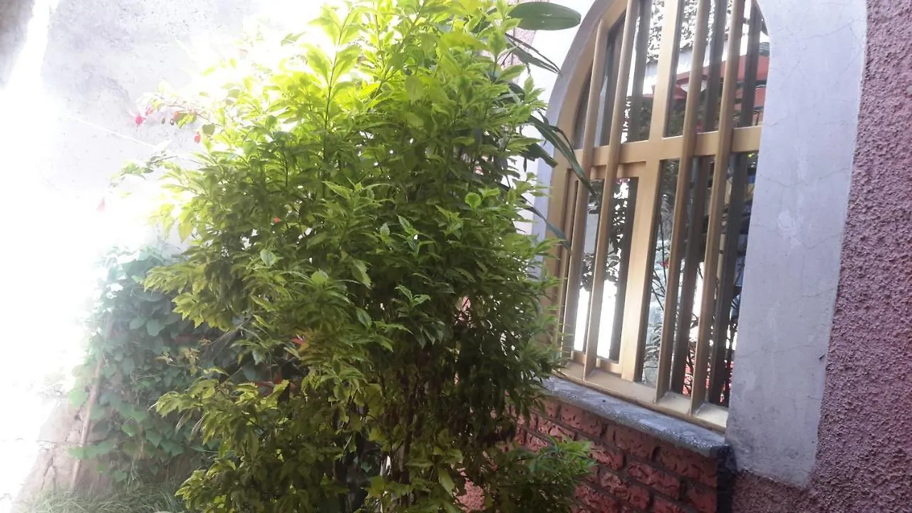 Birhan Guest House Addis Ababa